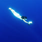 RoboSea Seaflyer Underwater Sea Scooter